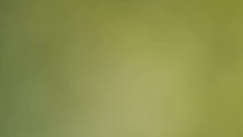 Annie online show from 19, 12, 2024