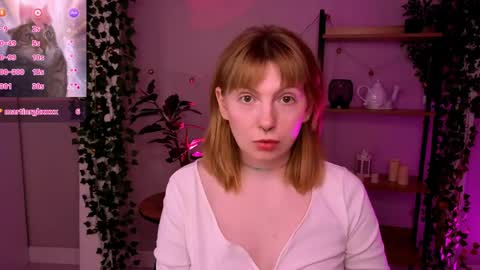 SUSIE 3 online show from 2, 6, 2026