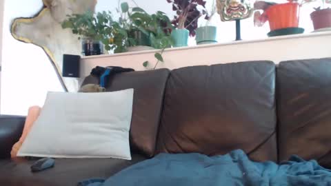 Otto online show from 11, 3, 2025