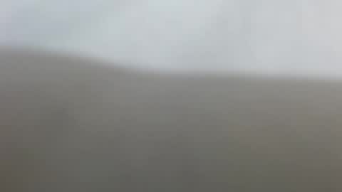 Snapshot of suzyblack4 chatting on 17, 2, 2026 Suzy online show from 17, 2, 2026