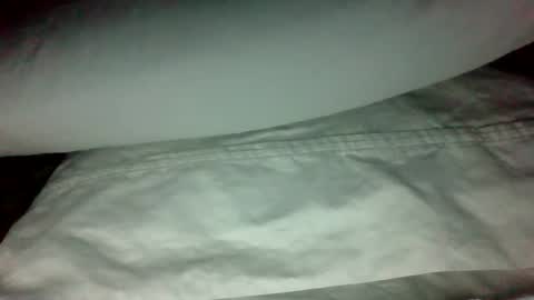 Snapshot of swampdonkey419 chatting on 19, 2, 2025 swampdonkey419 online show from 19, 2, 2025