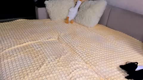 Snapshot of sweet_barbe chatting on 15, 11, 2025 Alice online show from 15, 11, 2025