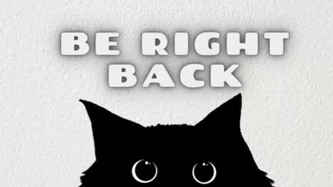       Independent model online show from 21, 2, 2025