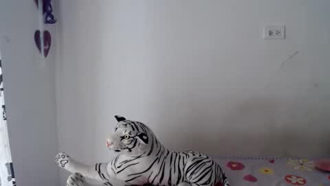 sweetgirsl online show from 29, 4, 2026