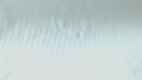 Snapshot of sweetnwildts chatting on 20, 5, 2026 Ghena online show from 20, 5, 2026