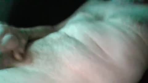 sweetpussylicks online show from 17, 2, 2025