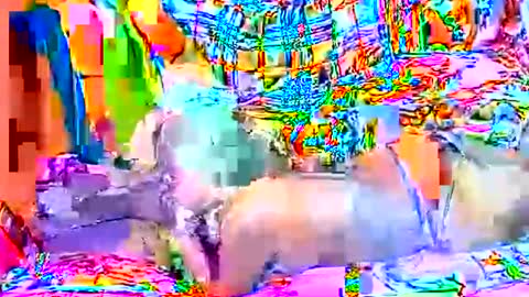 Sweetyummygirl online show from 22, 9, 2025