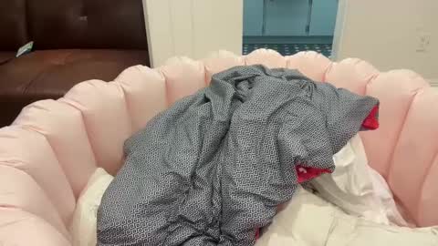 Snapshot of switchinjay chatting on 11, 9, 2025 switchinjay online show from 11, 9, 2025