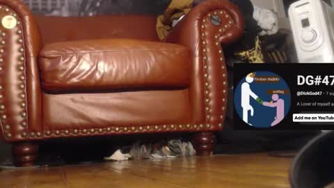 The DickGod online show from 1, 12, 2025