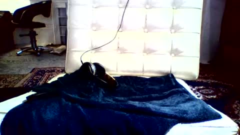 Snapshot of syd666 chatting on 16, 12, 2024 subfordomme online show from 16, 12, 2024