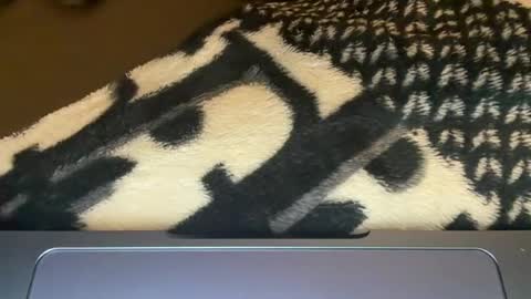 Snapshot of sydneysweetsins chatting on 12, 6, 2026 sydneysweetsins online show from 12, 6, 2026