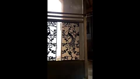 syevecrl online show from 9, 2, 2026