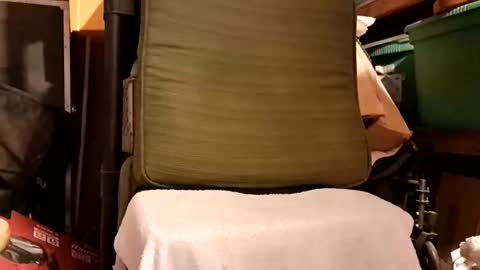 syevecrl online show from 19, 2, 2026