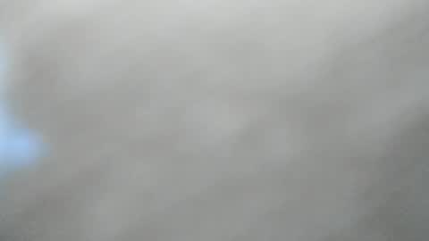 Snapshot of synop_sis chatting on 2, 4, 2026 Mila online show from 2, 4, 2026