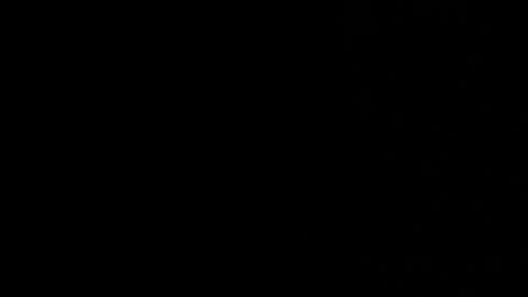 Snapshot of synop_sis chatting on 8, 4, 2026 Mila online show from 8, 4, 2026