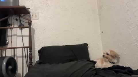 Snapshot of talenjames chatting on 28, 9, 2025 Talen James online show from 28, 9, 2025