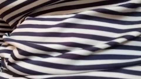 taniya_roy4628 online show from 1, 3, 2026