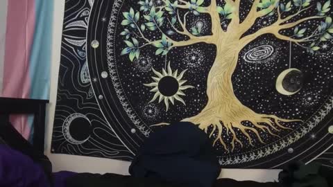 Tarrow online show from 29, 12, 2024