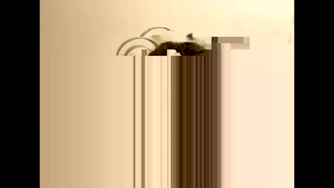 Snapshot of tastytexas24 chatting on 9, 2, 2026 tastytexas24 online show from 9, 2, 2026