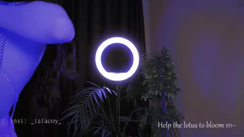 Snapshot of tatacoy chatting on 30, 10, 2025 TataCoy online show from 30, 10, 2025