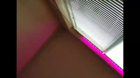 Beliqnegar online show from 1, 3, 2026