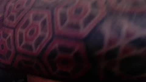 tatted420stoner online show from 5, 10, 2025