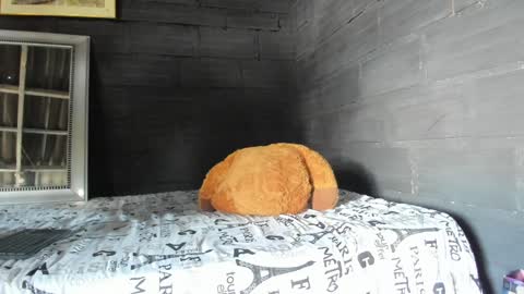  T A U R U S  online show from 17, 1, 2025