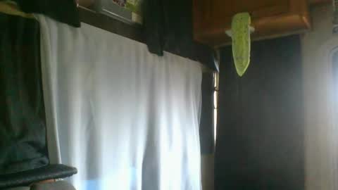 Snapshot of taylafox chatting on 7, 2, 2025 taylafox online show from 7, 2, 2025