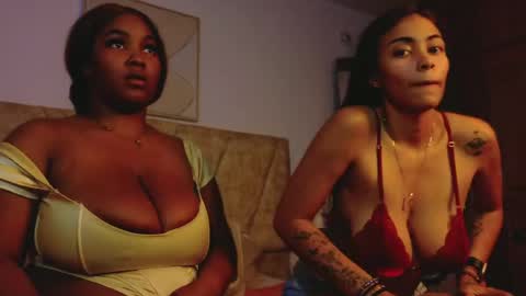 taylorcollinss online show from 3, 6, 2026