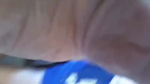 ThrobbingC online show from 14, 10, 2025