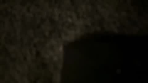 td 78 online show from 12, 1, 2025