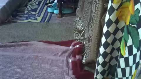 teabody1 online show from 8, 3, 2026