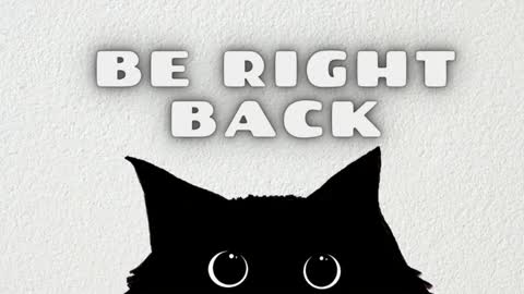 Ted online show from 17, 1, 2026