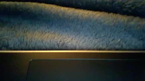 temp202112 online show from 19, 11, 2025