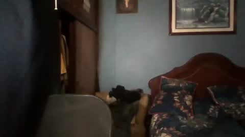 Snapshot of tender_eldelatienda chatting on 22, 7, 2026 Fabio Canavaro online show from 22, 7, 2026