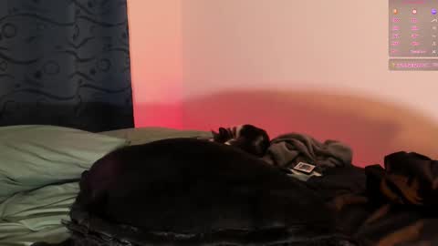 Teo online show from 1, 3, 2025