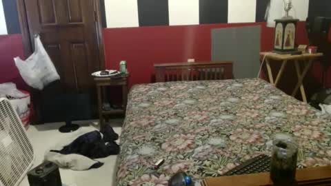 Snapshot of terdy2366 chatting on 4, 12, 2024 terdy2366 online show from 4, 12, 2024