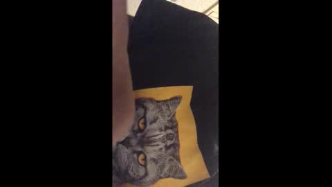 Snapshot of tericmidnight chatting on 17, 12, 2025 Call me Jason online show from 17, 12, 2025