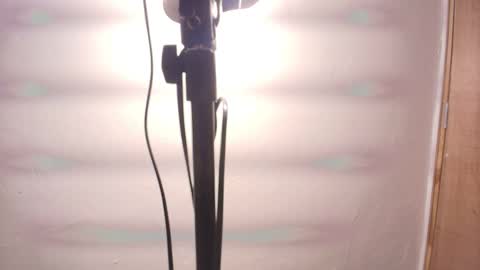 Snapshot of terraelowen chatting on 25, 2, 2026 Terra Elowen online show from 25, 2, 2026