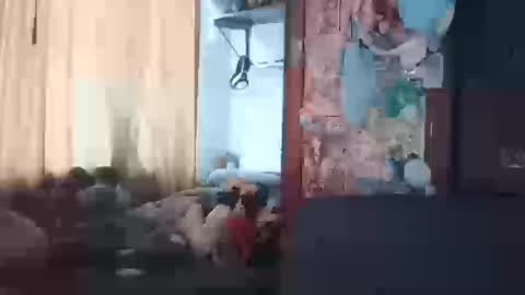 Snapshot of terraelowen chatting on 20, 3, 2026 Terra Elowen online show from 20, 3, 2026