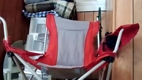 TexasDick online show from 13, 5, 2026
