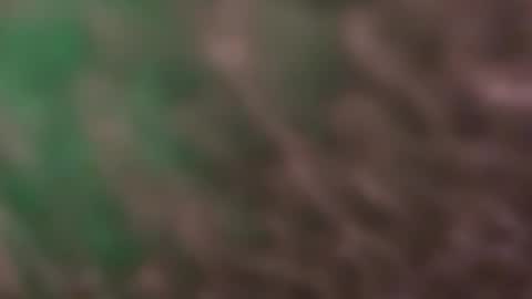 Snapshot of thankyoudaddy1 chatting on 10, 3, 2026 thankyoudaddy1 online show from 10, 3, 2026