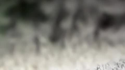 Snapshot of thankyoudaddy1 chatting on 15, 3, 2026 thankyoudaddy1 online show from 15, 3, 2026