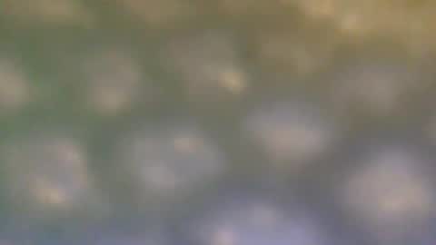 Snapshot of that_thing20 chatting on 5, 3, 2025 that_thing20 online show from 5, 3, 2025