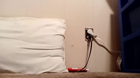 thatb1 online show from 16, 12, 2025