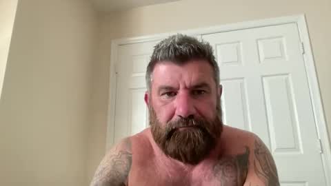 Snapshot of thatguybearded chatting on 21, 1, 2025 ThatGuyBearded online show from 21, 1, 2025