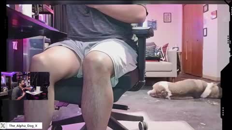 Snapshot of the_alpha_dog_xxx chatting on 24, 2, 2025 the_alpha_dog_xxx online show from 24, 2, 2025