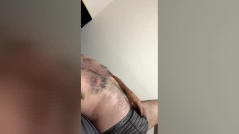 the_bear_br online show from 3, 4, 2026