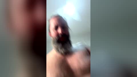 the_bear_br online show from 12, 4, 2026