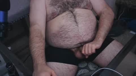 The Bear King online show from 8, 12, 2024